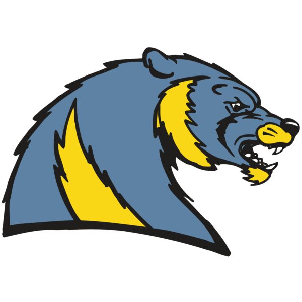 AR5 Wolverine 20 RQC Thumbnail