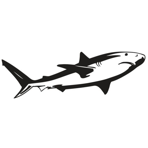 AR5 Shark 15 RQC Thumbnail